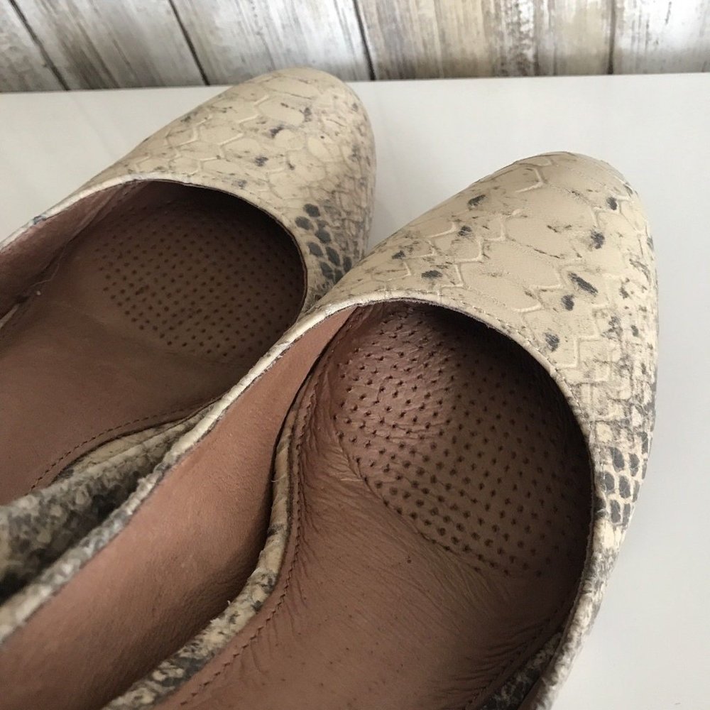 Corso Como Python Del Beige Black Gray Heels 7.5 - image 5